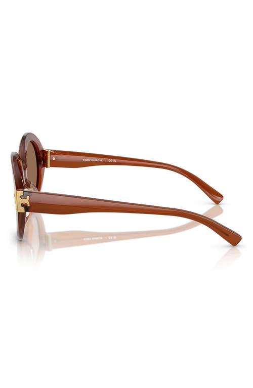 Tory Burch 52mm Oval Sunglasses In 31767352 Opal Brown