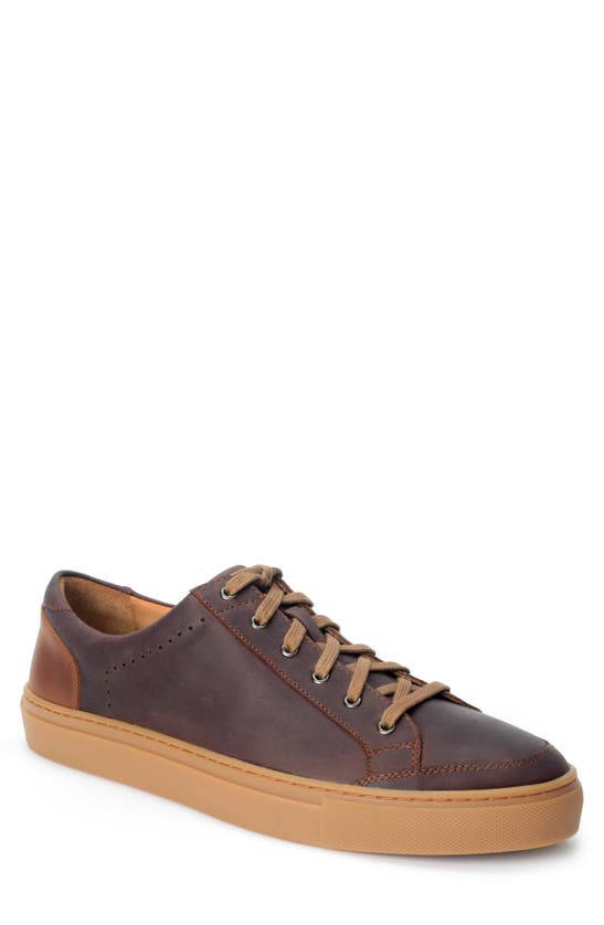 Shop Warfield & Grand Seawall Low Top Sneaker In Brown