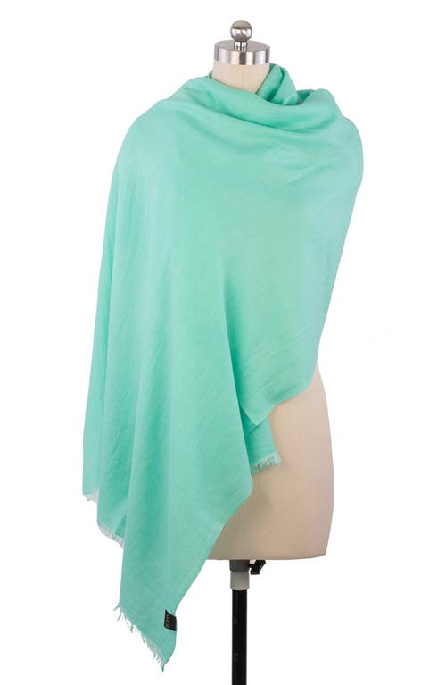 Saachi Cashmere Silk Eyelash Fringe Scarf In Mint