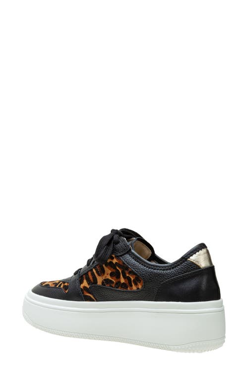Shop Linea Paolo Gains Genuine Calf Hair Platform Sneaker In Black/cognac-black