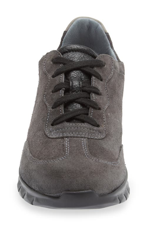 Naot Infinity Colorblock Sneaker In Oily Midnight Suede Gray Combo