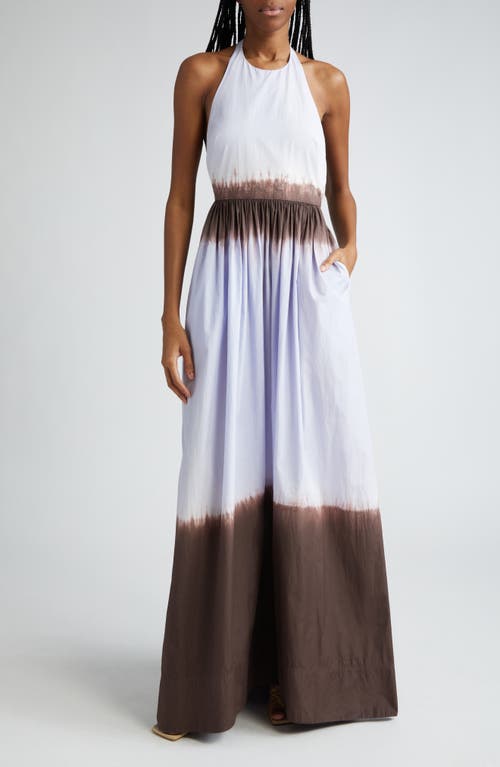 Shop A.l.c . Blair Print Halter Maxi Dress In Fudge/sky Blue