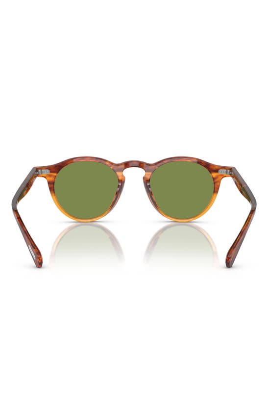 Shop Oliver Peoples Op-13 47mm Round Sunglasses In Amber