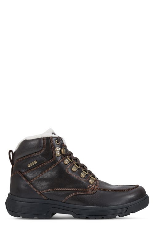 Shop Rockport Ezra Waterproof Boot In Dark Brown