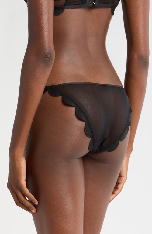 Bluebella Jasmine Scallop Mesh Briefs In Black