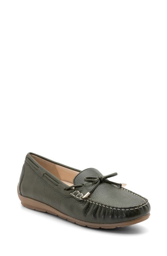 Ara Amarillo Leather Driving Moccasin In Thyme Calf