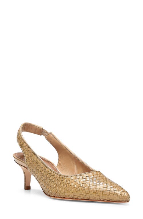 Donald Pliner Olympia Slingback Pointed Toe Pump in Sand