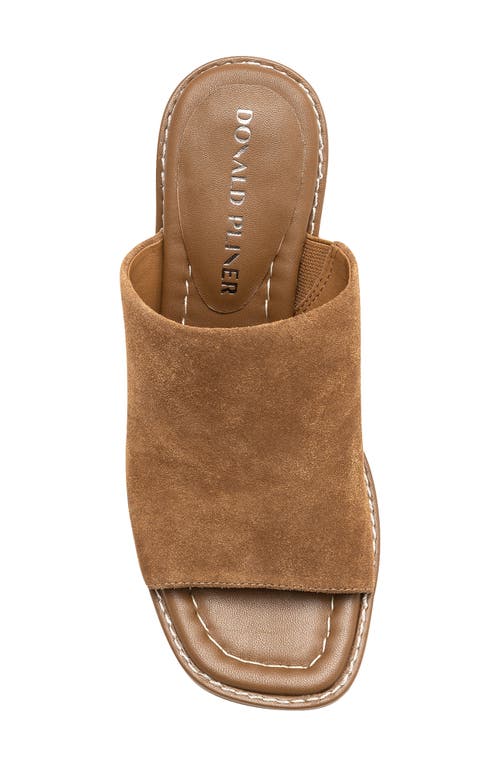 Shop Donald Pliner Jaylyn Slide Sandal In Saddle
