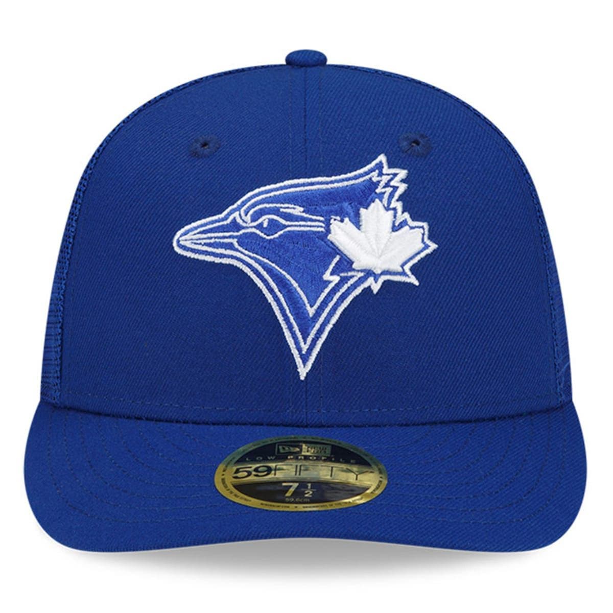 blue jays bp hat