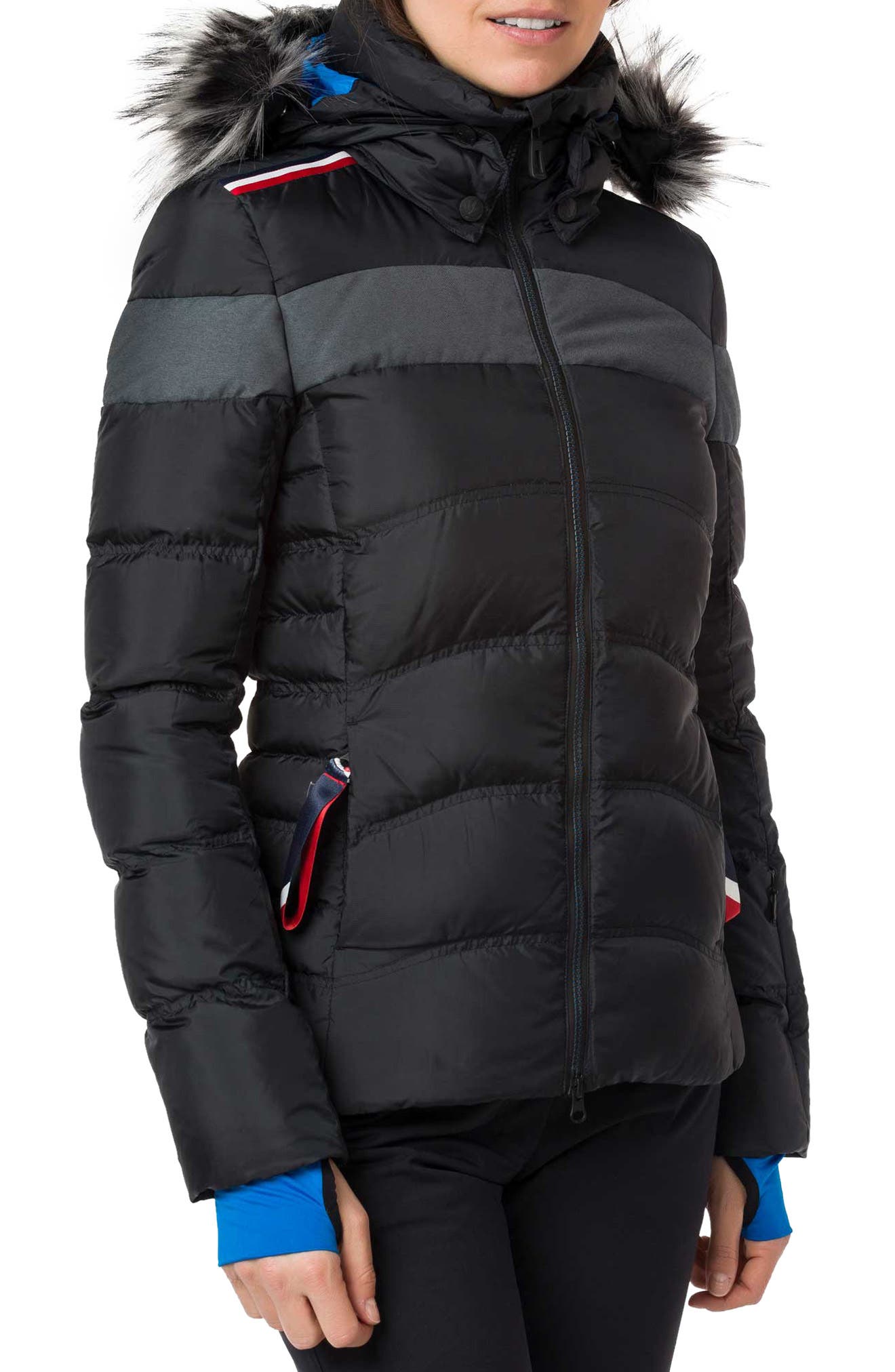 rossignol hiver