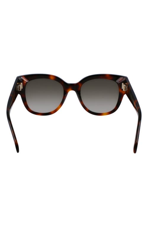 Ferragamo Rivets Acetate Cat-eye Sunglasses In Tortoise