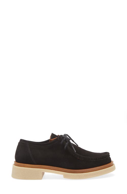 Cordani Maya Chukka Derby In Camoscio Nero