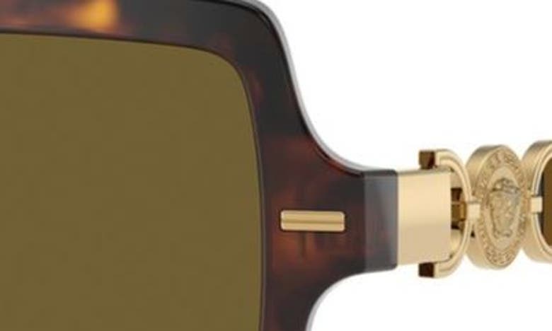 Versace Medusa Head Square-frame Sunglasses In Havana