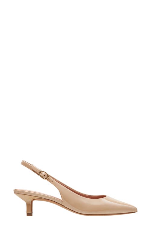 Shop Linea Paolo Cecil Slingback Pointed Toe Kitten Heel Pump In Blush Taupe