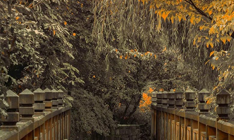 Icanvas Across The Bridge By Don Schwartz Canvas Wall Art In Forest Bridge