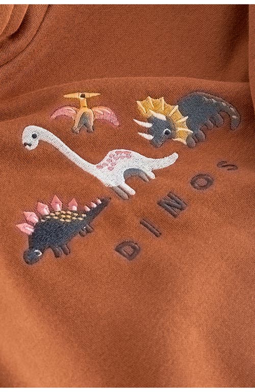 Shop Next Kids' Dinosaur Embroidered Graphic Hoodie In Brown