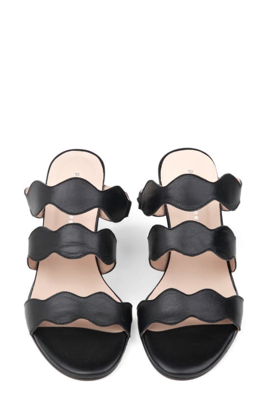 Patricia Green Sophia Slide Sandal In Black