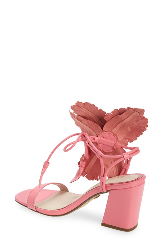 Shop Cecelia New York Hibiscus Sandal In Cano Rose Suede