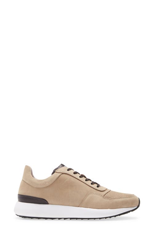 Blackstone Tg02 Low Top Sneaker In Brown