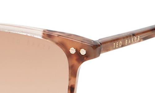 Ted Baker London 56mm Full Rim Rectangle Sunglasses In Blush