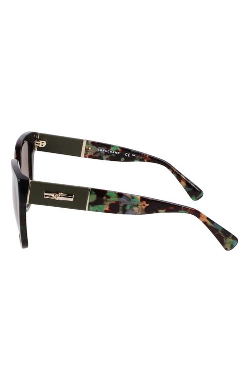 Shop Longchamp Roseau 54mm Butterfly Sunglasses In Green Havana