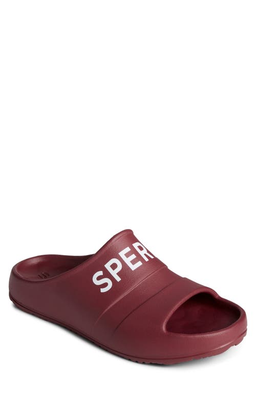 SPERRY TOP-SIDER Sperry Uni Float Slide Sandal in Burgundy