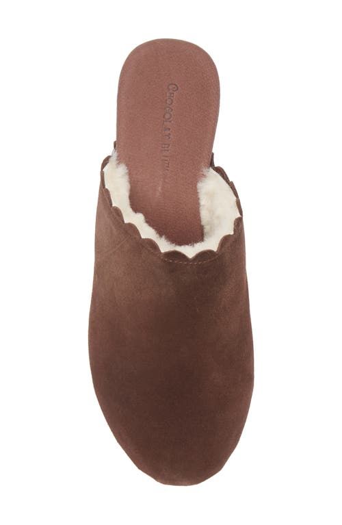 CHOCOLAT BLU CHOCOLAT BLU GARETH PLATFORM MULE 