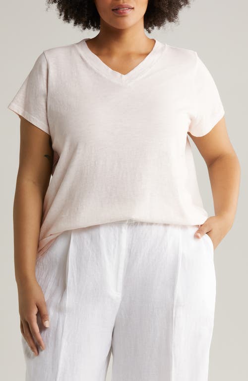 Eileen Fisher V-Neck Organic Cotton T-Shirt at Nordstrom