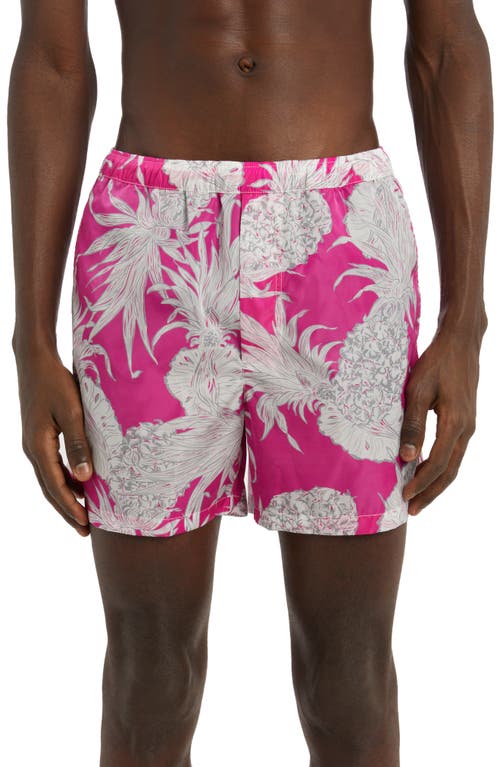 Valentino Garavani x Sun Surf Pineapple Print Nylon Swim Trunks in Pineapple Fdo Pink Bianco