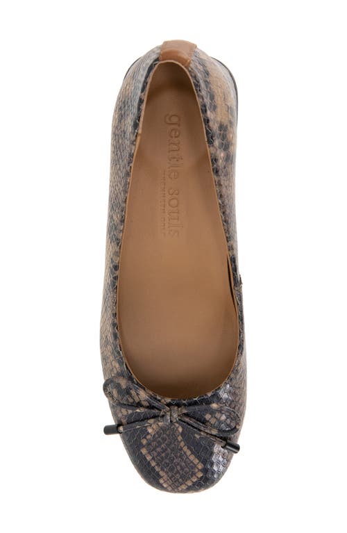 Gentle Souls By Kenneth Cole Lancine Pump In Brown Snake Leather
