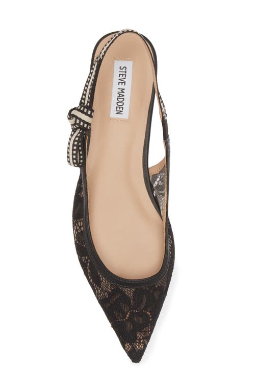 Shop Steve Madden Olsen Slingback Pointed Toe Flat In Black Lace