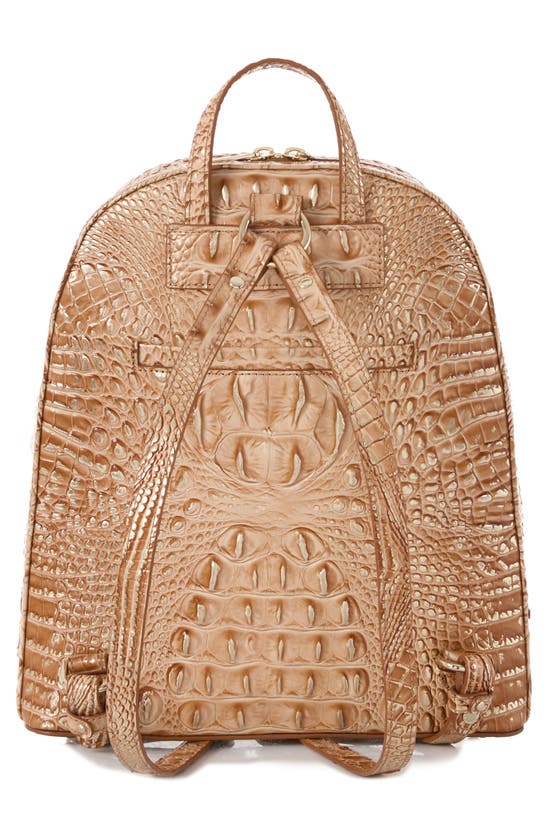 Shop Brahmin Nola Croc Embossed Leather Backpack In Honey Brown