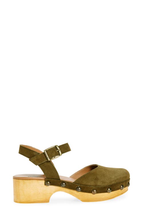 Shop Cordani Winston Ankle Strap Platform Clog In Crosta Verdone