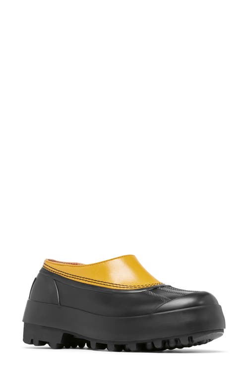 Shop Sorel X Proenza Schouler Waterproof Clog In Golden Ochre