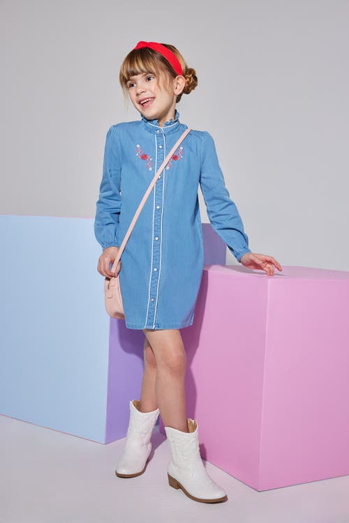 Bisby Kids' Chambray Jen Dress In Chambray & Thistle Embroidery