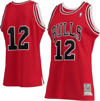 Mitchell & Ness Men's Mitchell & Ness Michael Jordan Red Chicago Bulls  Hardwood Classics #12 Authentic Jersey