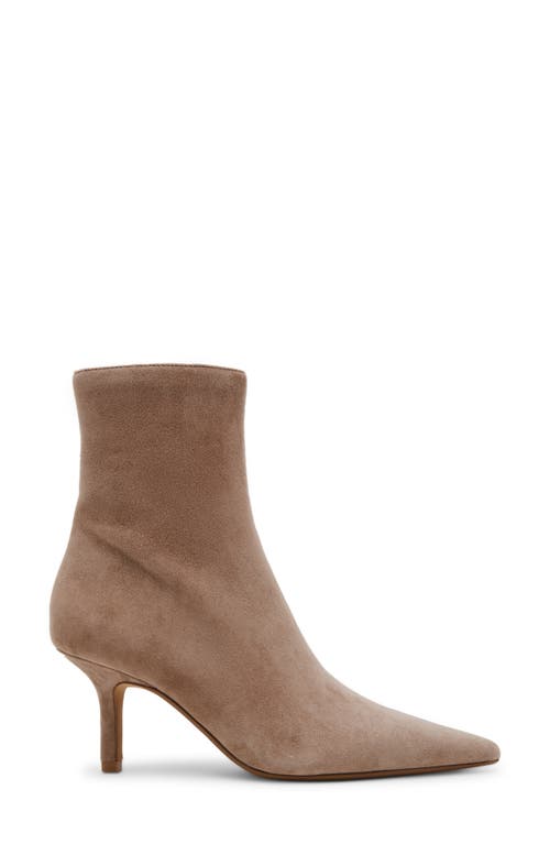 Shop Steve Madden Alston Pointed Toe Bootie In Taupe Suede