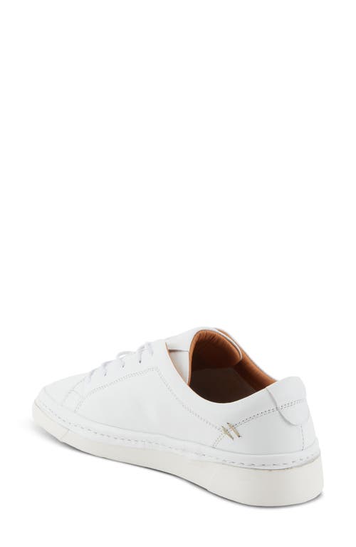 Shop Spring Step Picasa Sneaker In White