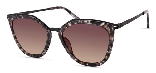 Modo 463 Sunglasses In Grey Tortoise