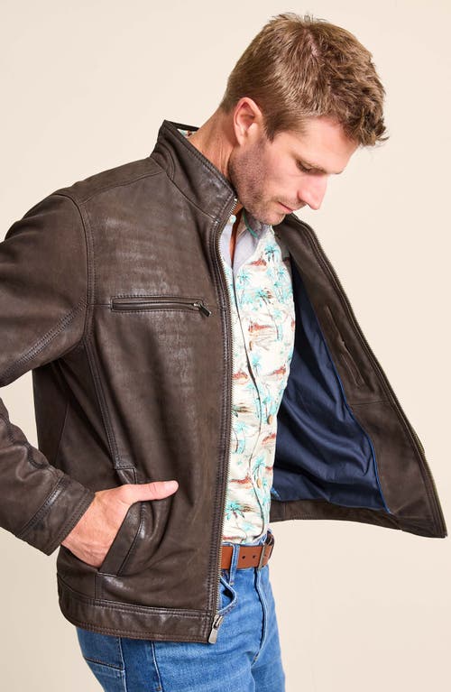 Shop Tommy Bahama Highland Rocker Leather Jacket In Dark Brown
