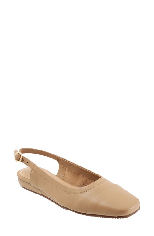 SoftWalk Vittoria Slingback Flat Nude at Nordstrom,