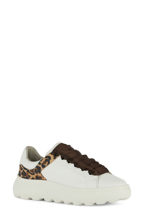 Spherica Sneaker in White/Brown