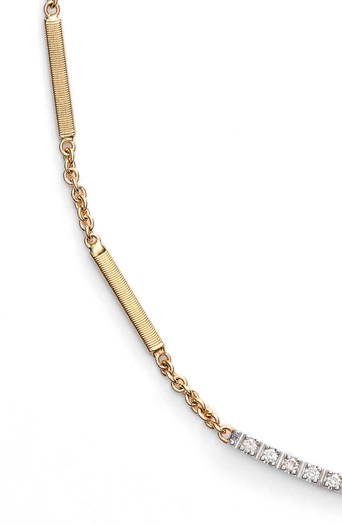 bicego