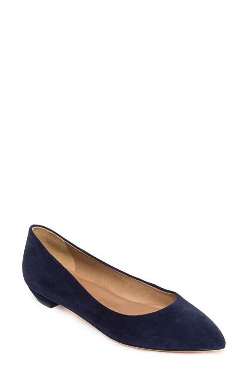 BERNARDO FOOTWEAR Fritz Pointed Toe Flat at Nordstrom,