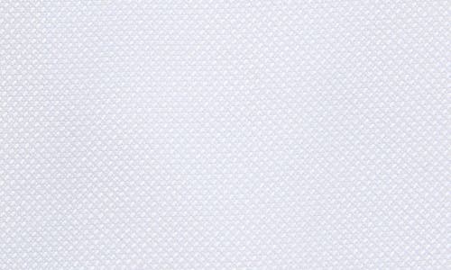 Nordstrom Traditional Fit Cotton Oxford Dress Shirt In White Royal Oxford