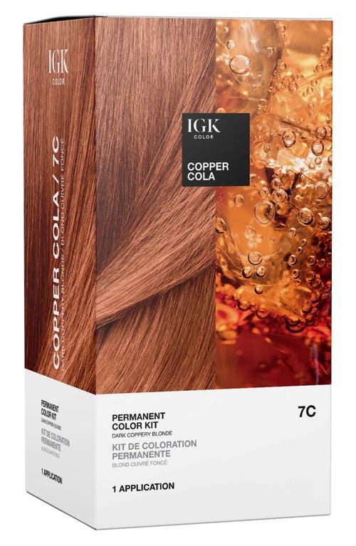 Igk Permanent Color Kit In Copper Cola
