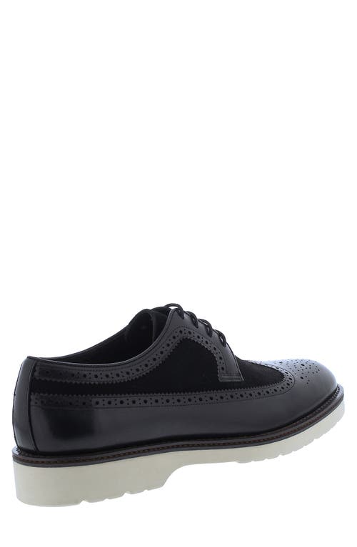 Penny Lane Compton Wingtip Derby In Black