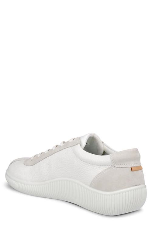 Shop Ecco Soft Zero Sneaker In White/shadow White