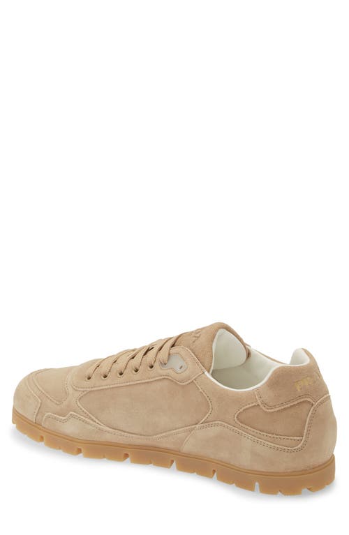 Shop Prada Trail Sneaker In Ecru