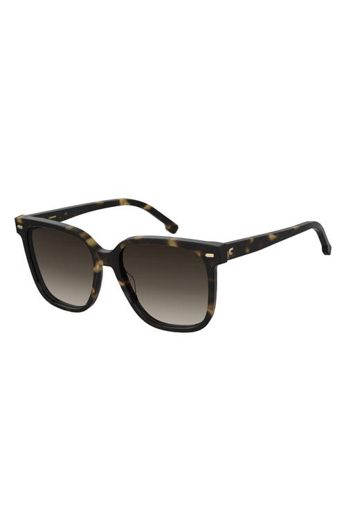 Carrera Eyewear 55mm Rectangular Sunglasses In Havana/brown Gradient